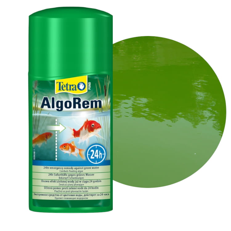 algorem glony.jpg